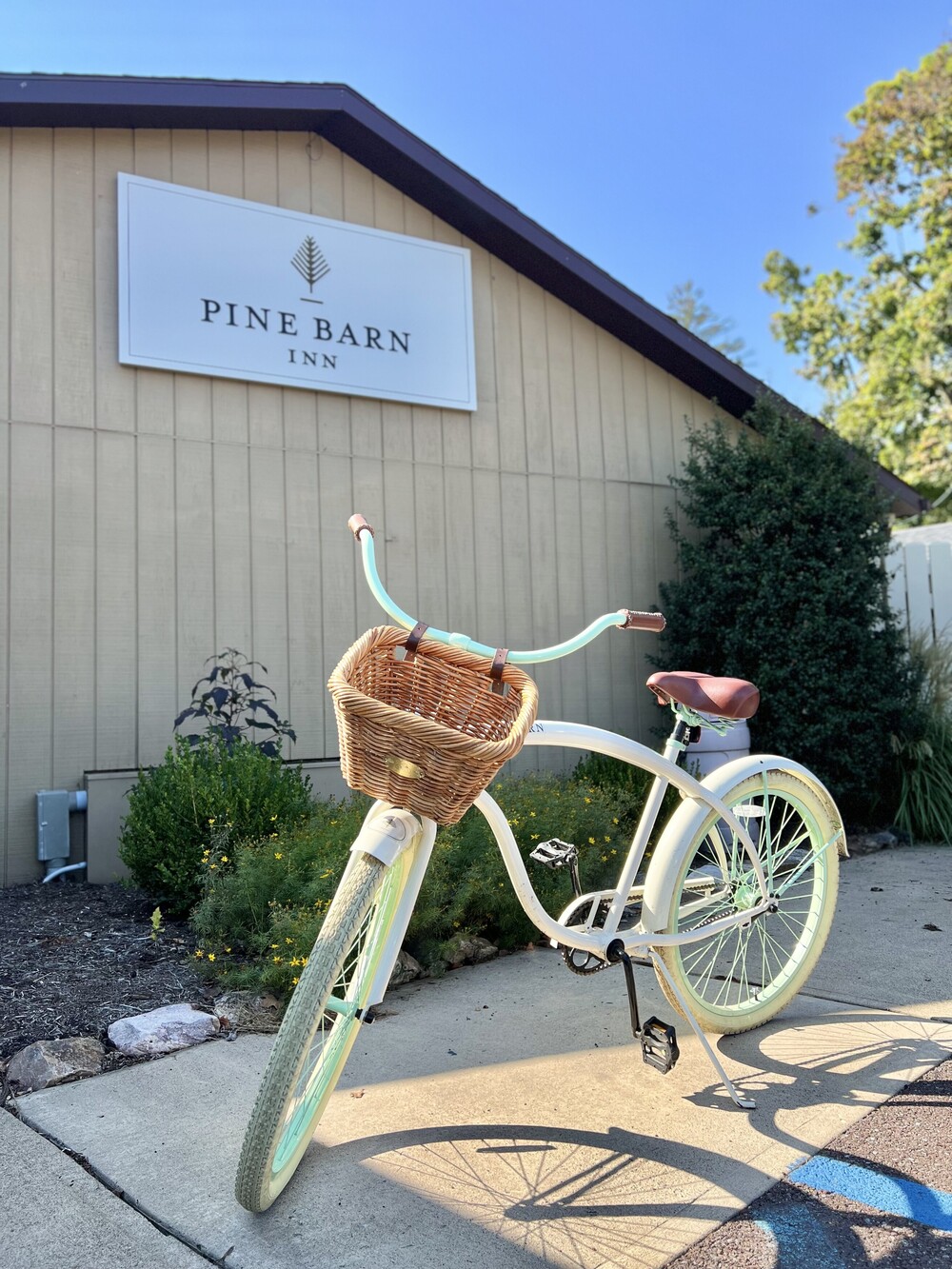 bike in front of building