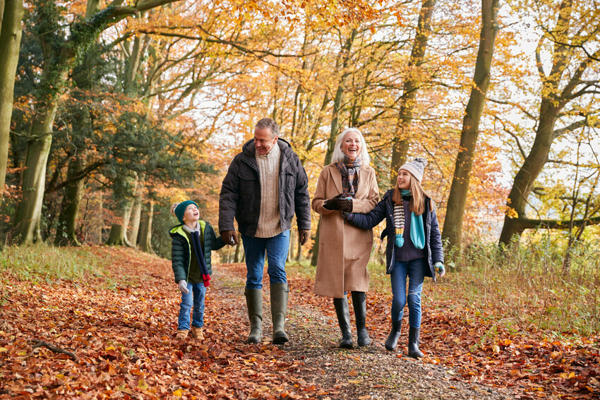 a group of people walking on a path with trees